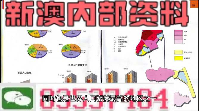 2025年正版资料免费大全与2025澳门精准正版免费四不像,全面释义、解释与落实